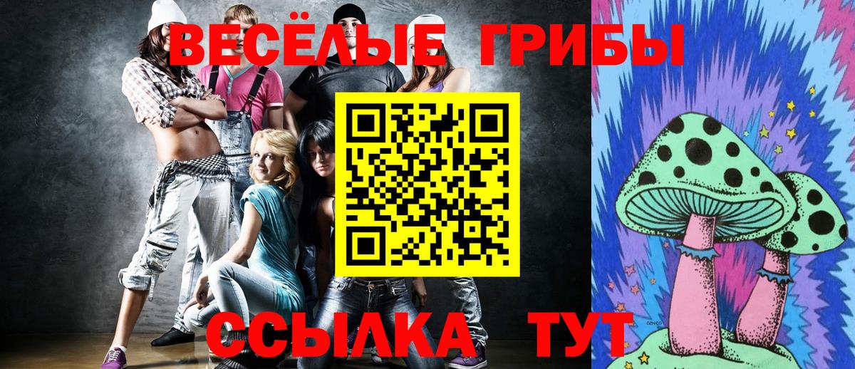 Чебаркуль  Псилоцибиновые грибы Psilocybe  Вход с VPN 